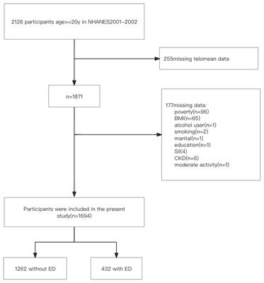 Association between telomere length and erectile dysfunction: a cross-sectional study